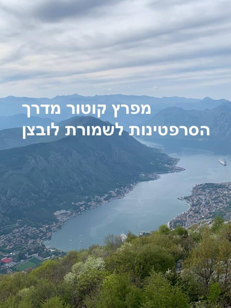 מפרץ קוטור