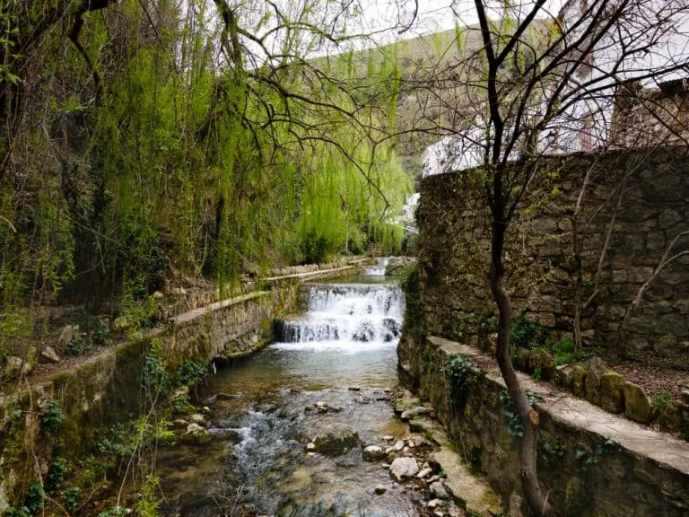 Tara Springs Park