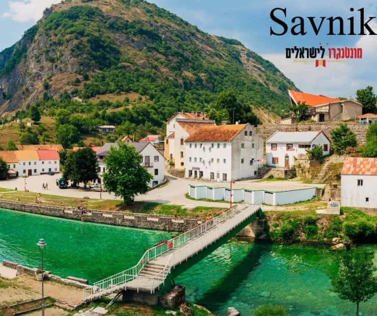 Savnik