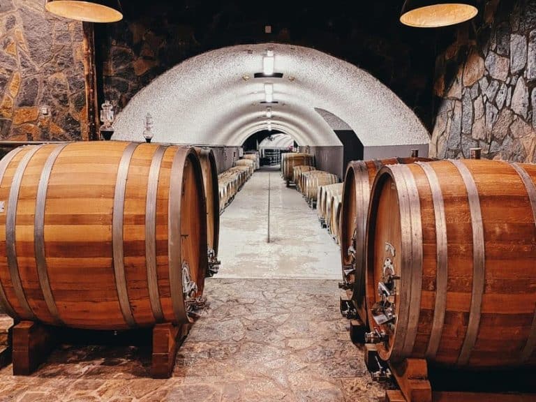 סיור ביקב ליפובאק (Winery Lipovac)